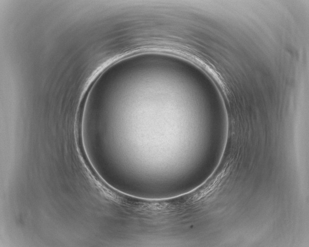 X0000116311533200911301452