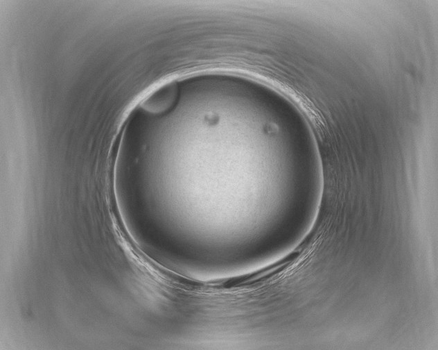 X0000116311534200911301452