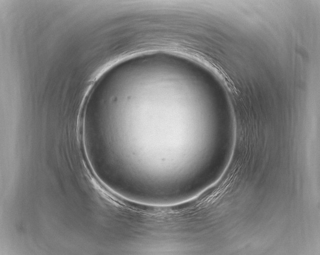 X0000116311535200911301452