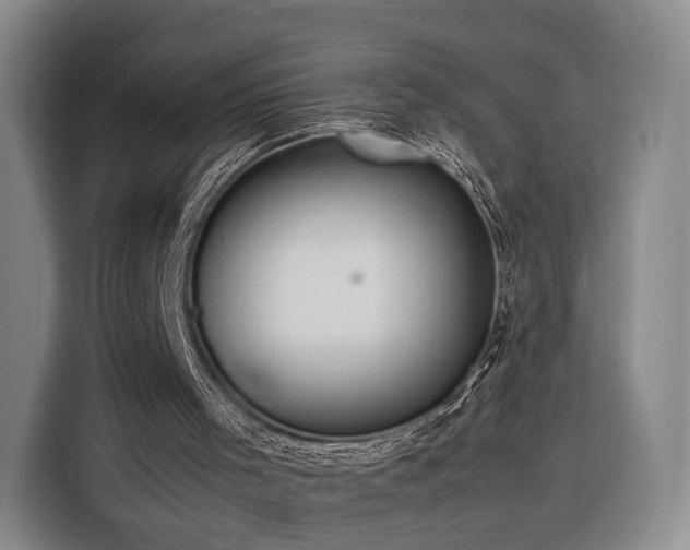 X0000116310001200912071318