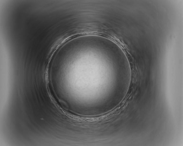 X0000116310002200912071318