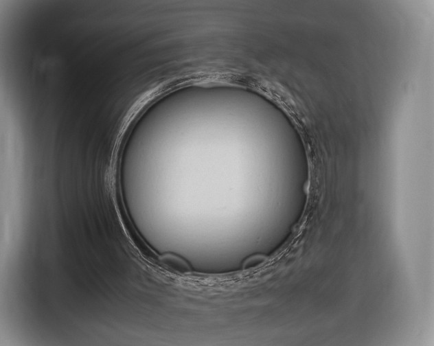 X0000116310003200912071318