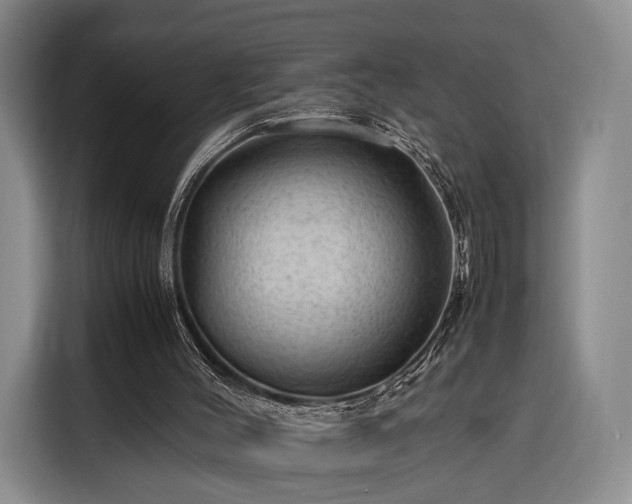 X0000116310004200912071318