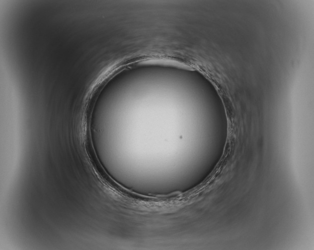 X0000116310005200912071318