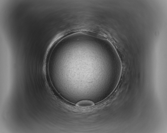 X0000116310006200912071318