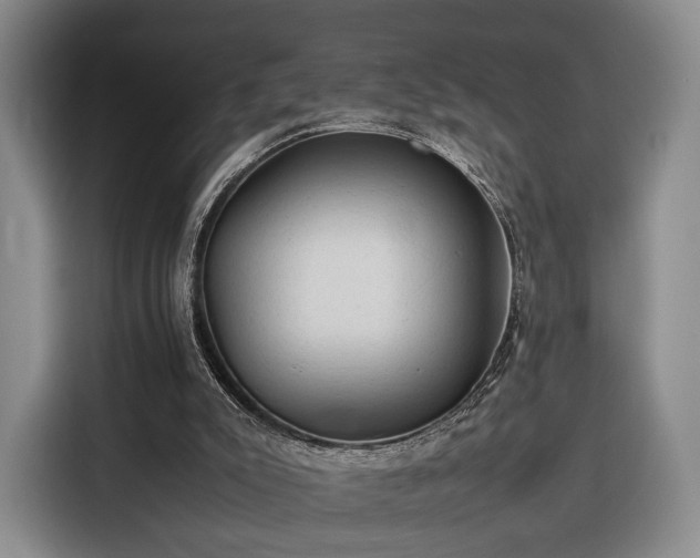 X0000116310007200912071318