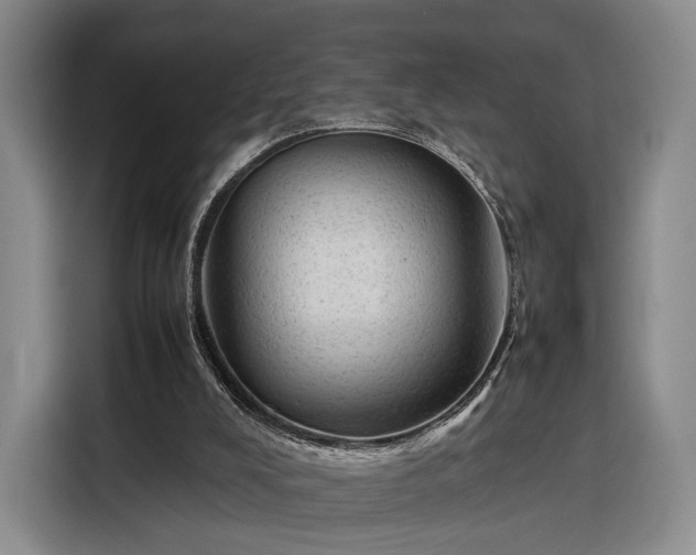 X0000116310008200912071318