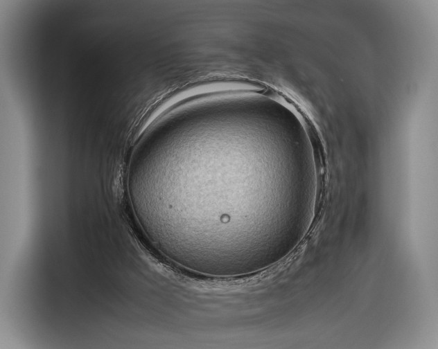 X0000116310009200912071318