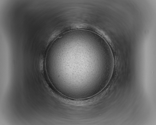 X0000116310010200912071318