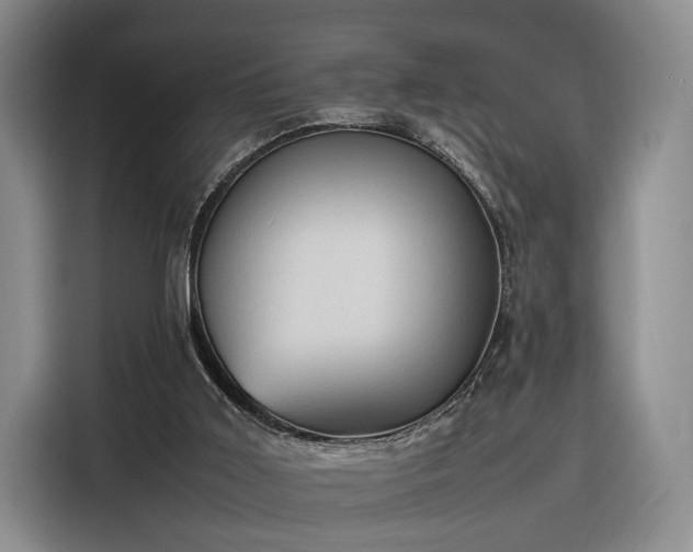 X0000116310011200912071318