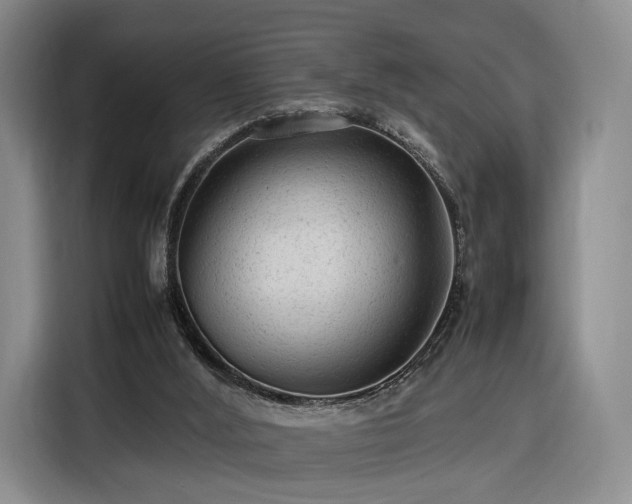 X0000116310012200912071318