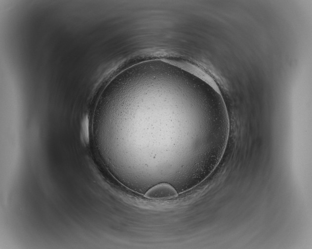 X0000116310014200912071318