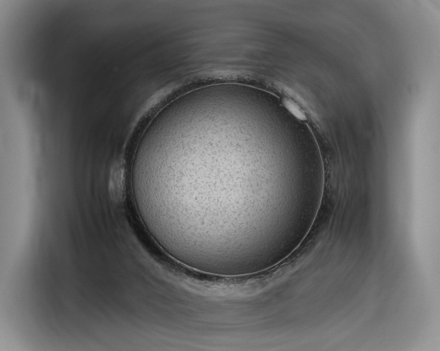 X0000116310016200912071317