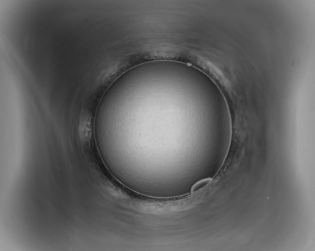 X0000116310017200912071317