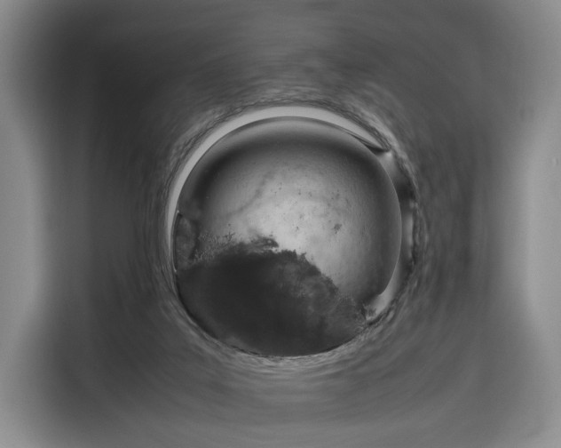 X0000116310019200912071317