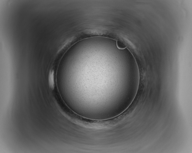 X0000116310020200912071317