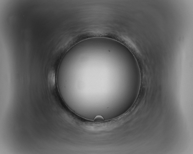 X0000116310021200912071317