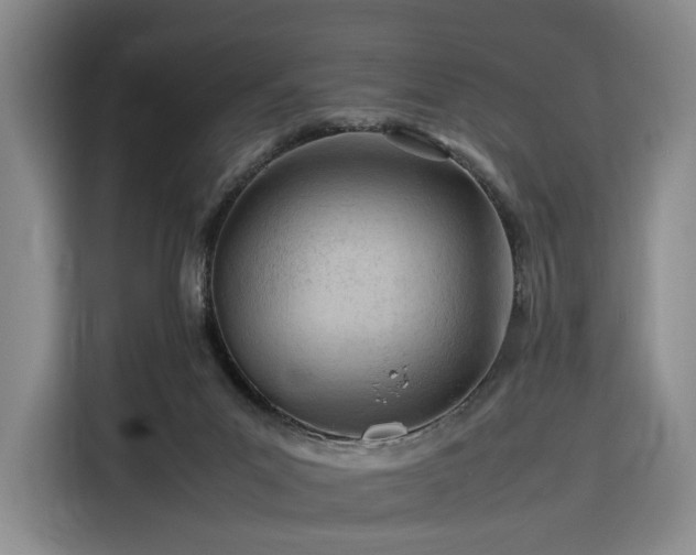 X0000116310023200912071317