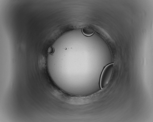 X0000116310025200912071317