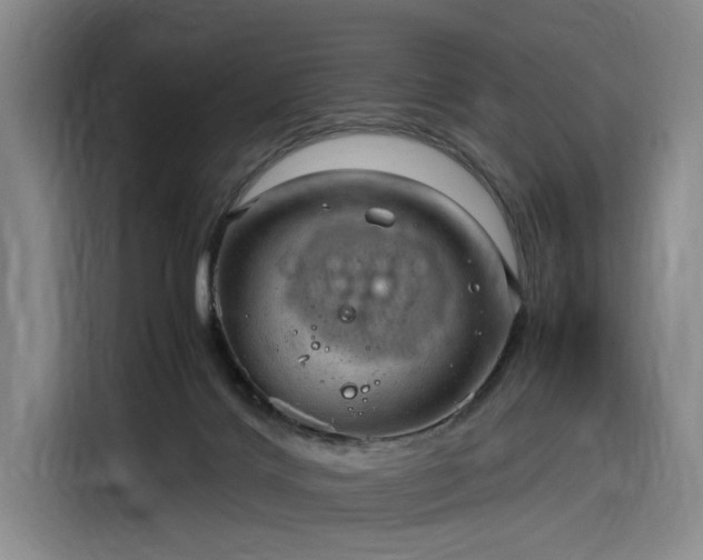 X0000116310028200912071317