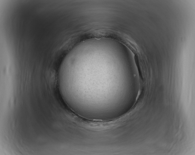 X0000116310029200912071317