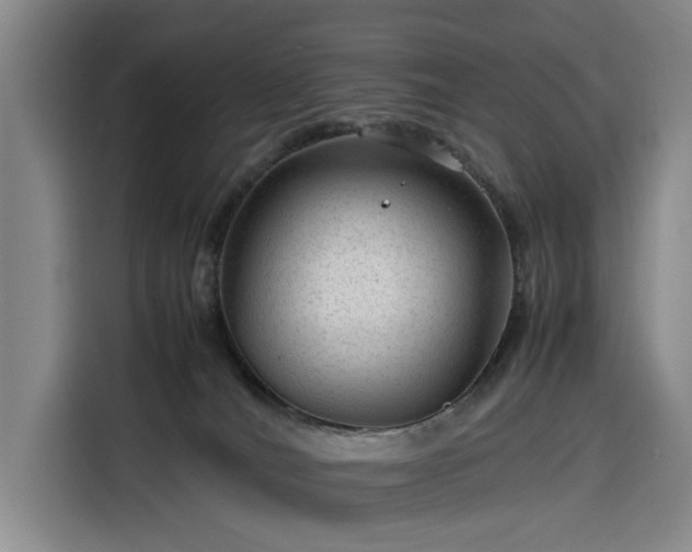 X0000116310036200912071317