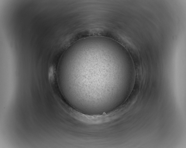 X0000116310038200912071317