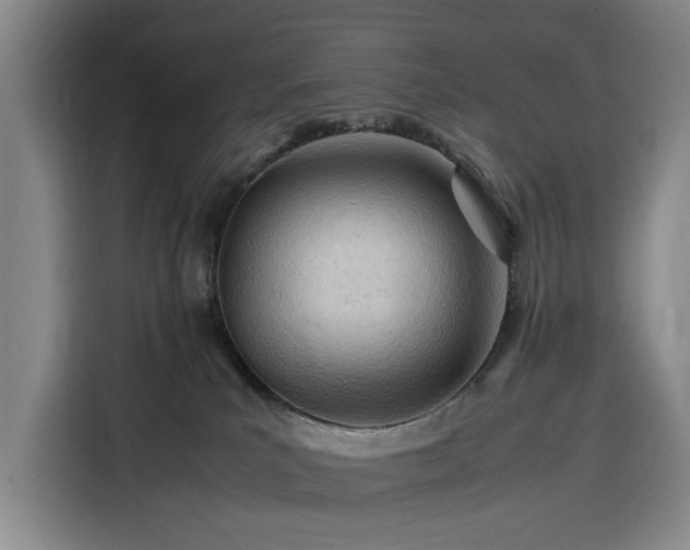 X0000116310039200912071317