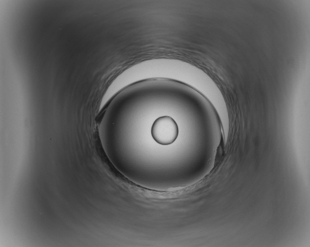 X0000116310043200912071317