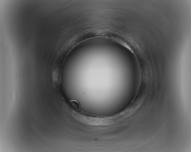 X0000116310044200912071317