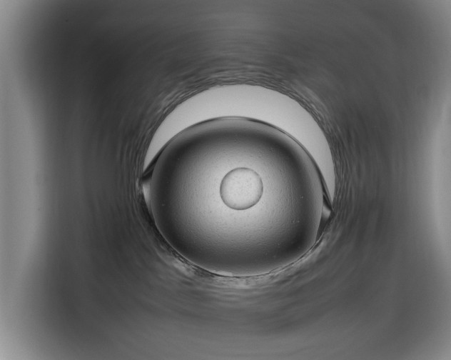 X0000116310045200912071317