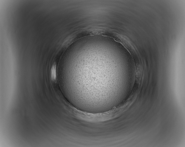 X0000116310046200912071317