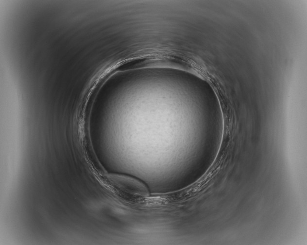 X0000116310050200912071316