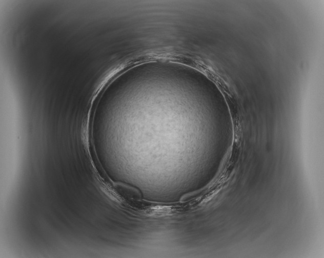 X0000116310052200912071316