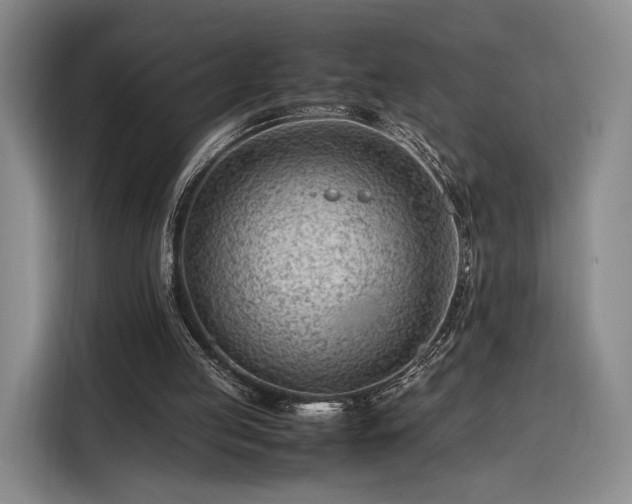 X0000116310053200912071317