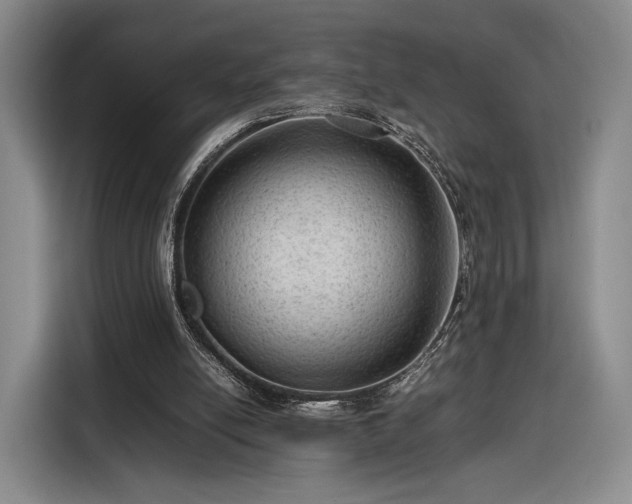 X0000116310054200912071317