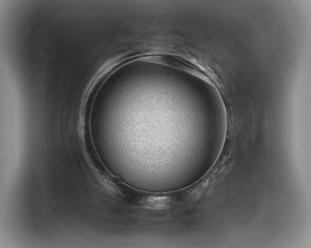 X0000116310055200912071317