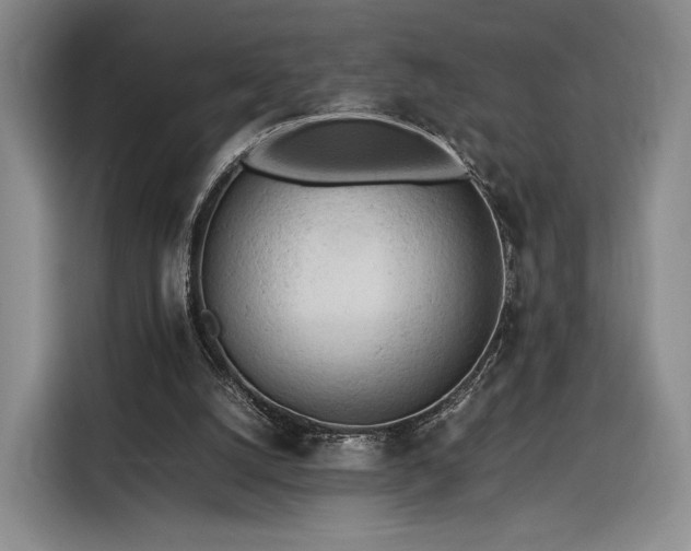 X0000116310056200912071317