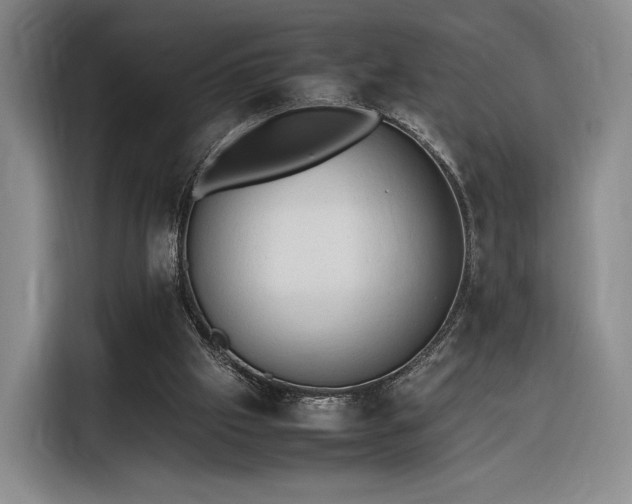 X0000116310057200912071317