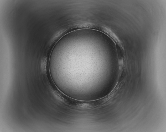 X0000116310058200912071317