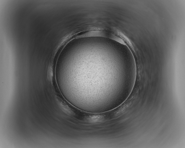 X0000116310059200912071317