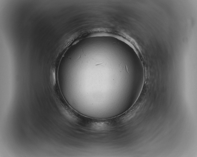 X0000116310061200912071317