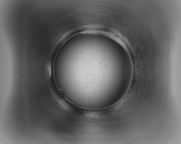 X0000116310062200912071317