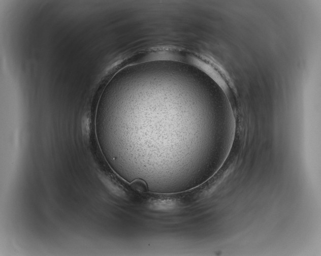 X0000116310063200912071317