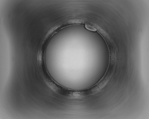 X0000116310064200912071317