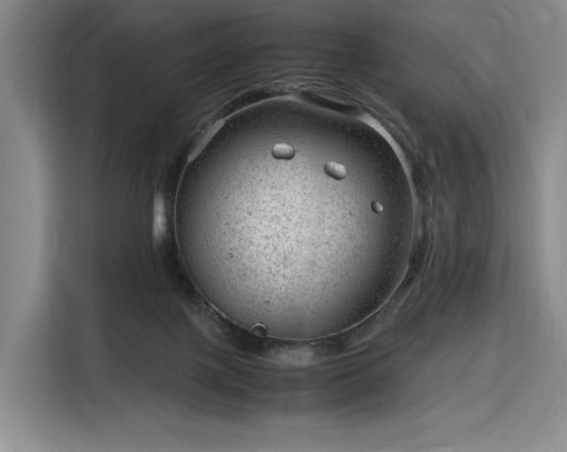 X0000116310075200912071317