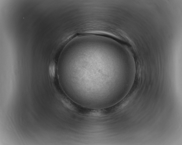 X0000116310076200912071317