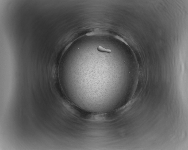 X0000116310078200912071317