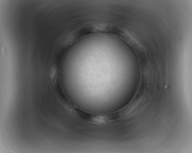 X0000116310079200912071317