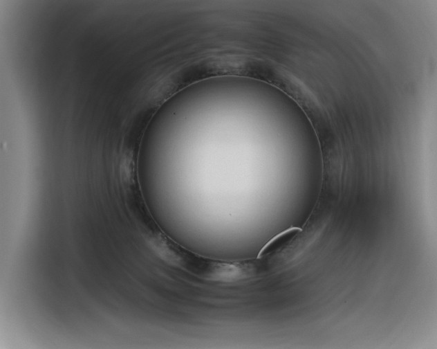 X0000116310083200912071317